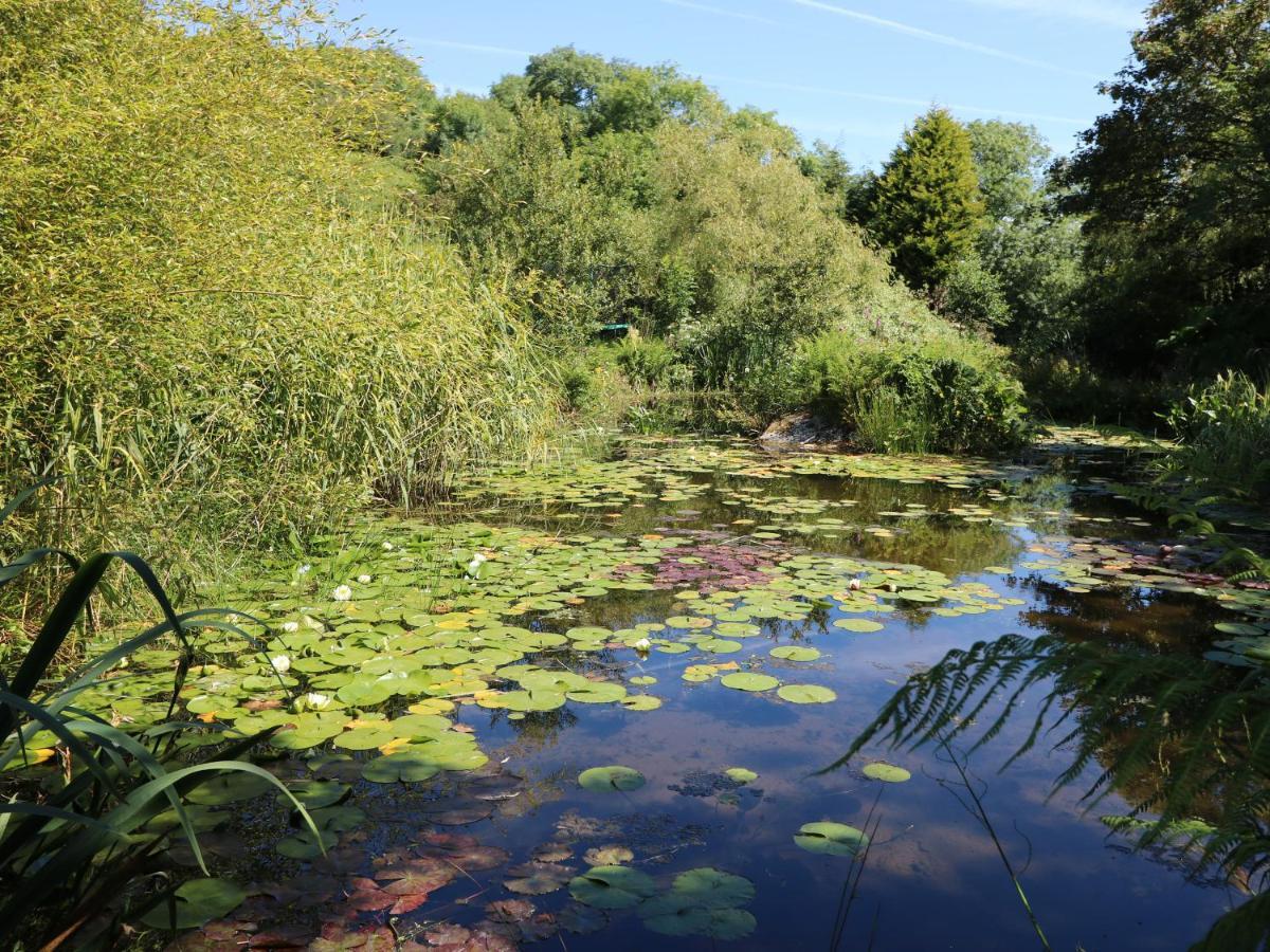 Pond Cottage Truro Esterno foto